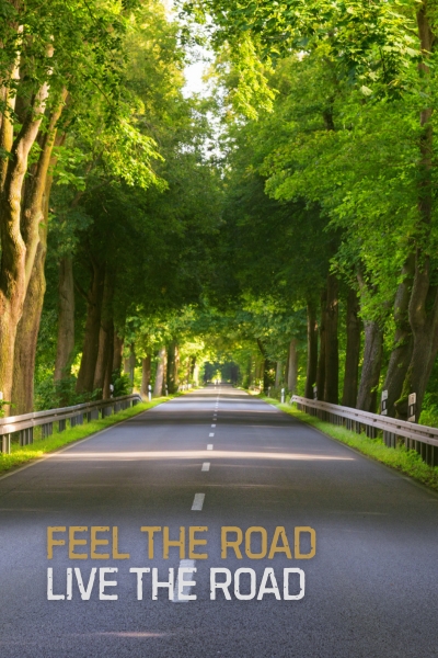 Baumallee mit grünem Blätterdach und gerader Straße.